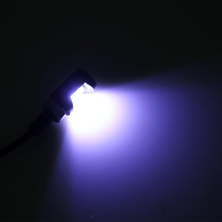 2 PCS 2W 100 LM 6500K Car License Plate Light with 2 SMD-5630 Lamps, DC 12V, 2W 100 LM 6500K