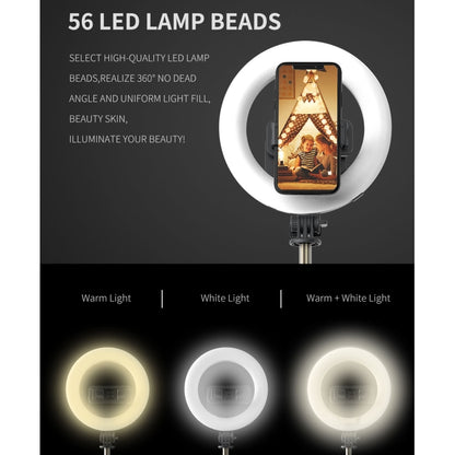 Q07 6 Inch Ring Light Portable Bluetooth Selfie Stick Tripod, Q07