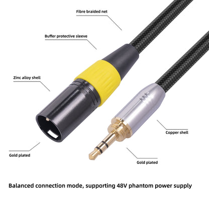 SB423K108-03 6.35mm + 3.5mm Male to XLR 3pin Male Audio Cable, Length: 30cm, 6.35mm+3.5mm to XLR