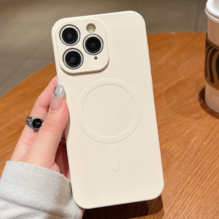 Solid Color Liquid Silicone MagSafe Magnetic Phone Case, For iPhone 11, For iPhone 11 Pro