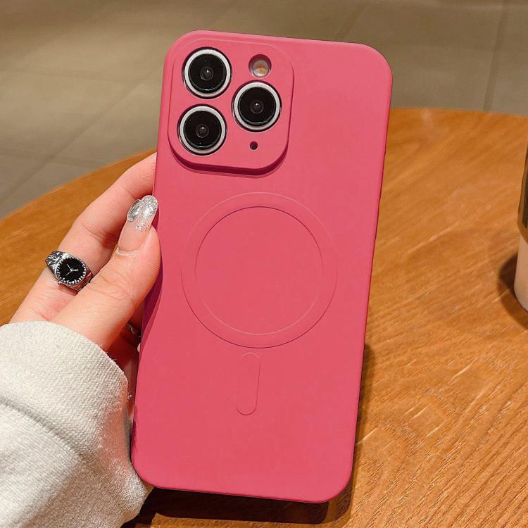 Solid Color Liquid Silicone MagSafe Magnetic Phone Case, For iPhone 11, For iPhone 11 Pro