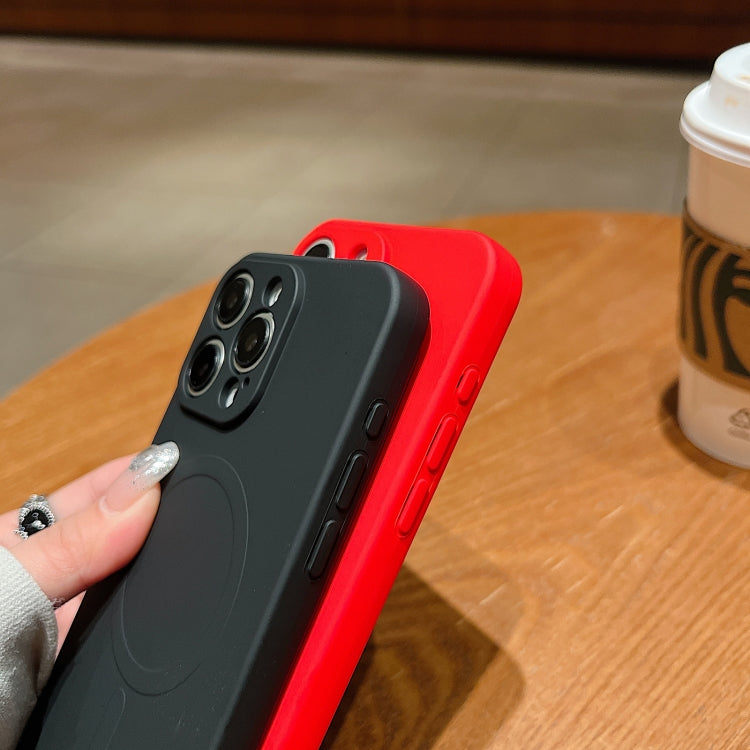 Solid Color Liquid Silicone MagSafe Magnetic Phone Case, For iPhone 11, For iPhone 11 Pro