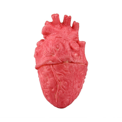 Popular Funny Halloween Props Fake Heart, Fake Heart