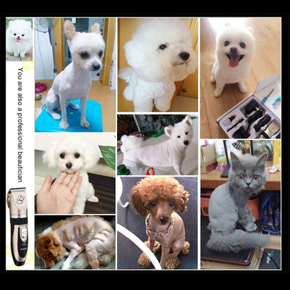 P2 110-240V Ceramics Titanium Professional Pet Electric Scissors Pets Hair Clippers with Four Combs, Ceramics Titanium Scissors