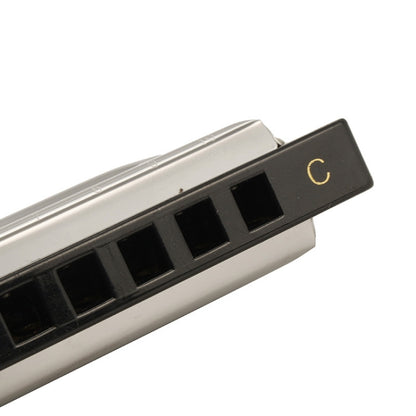 Harmónica diatónica Swan SW1020-7 de 10 furos para blues, ideal para adultos, estudantes, crianças e principiantes. Harmónica polifónica SW1020-7 de 10 furos.